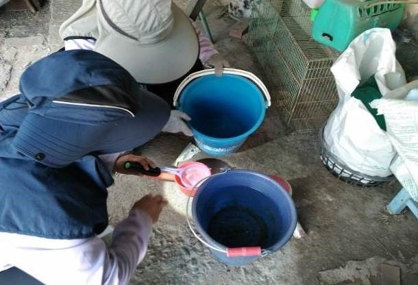 經常性使用水桶未刷洗內壁且未加置細紗網或加蓋，即會孳生病媒蚊孑孓而受罰